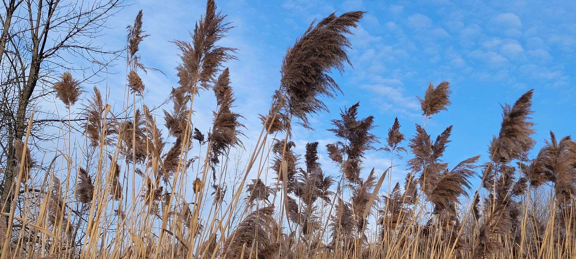 Des bijoux respectueux de l'environnement
